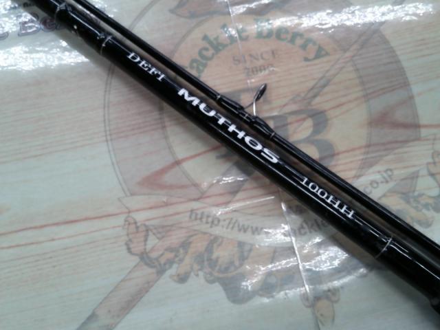 デフィーミュートス DM100HH