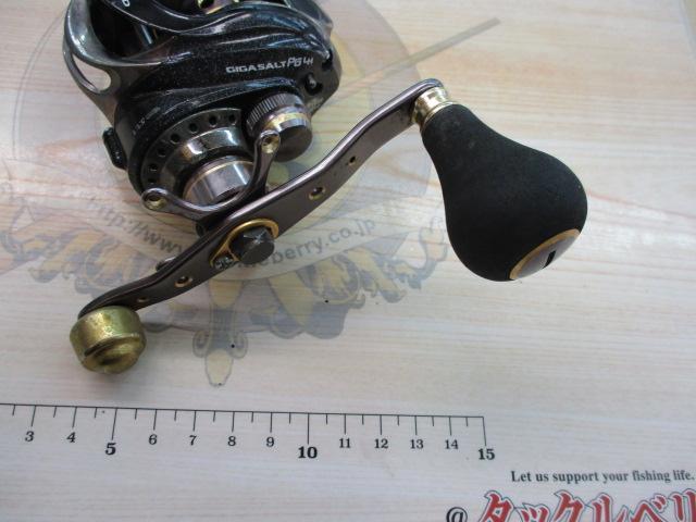 リアルメソッドギガソルトPG LH