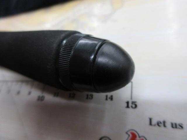 ネオテンカラ ミノムシ33