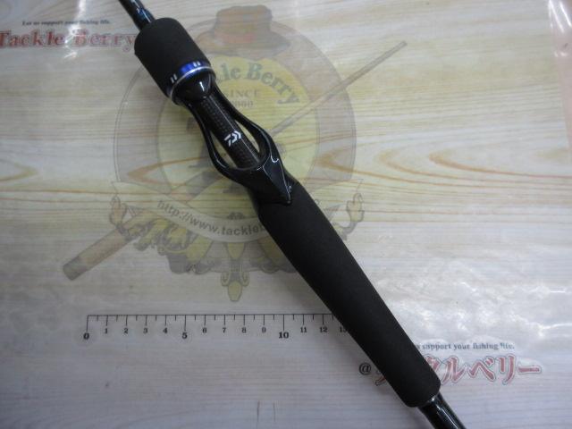 ソルティガベイジギング SG BJ AGS 66XXHB