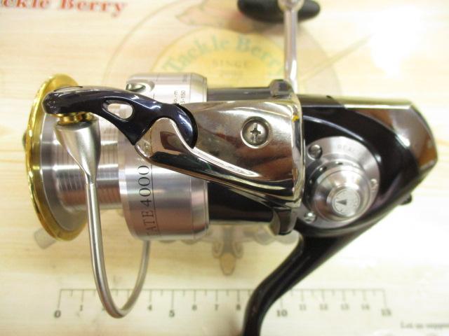 セルテート 4000