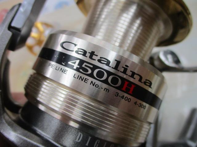 キャタリナ 4500H