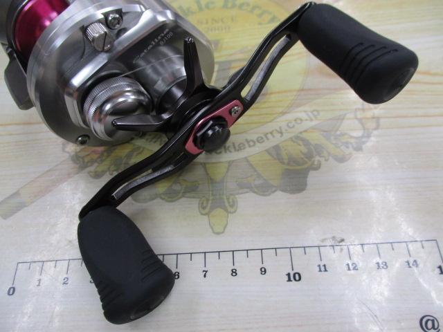 15キャタリナ BJ100P-RM