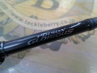 21ポイズングロリアス 166M