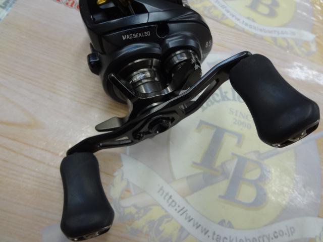 スティーズ AⅡ TW 1000XHL