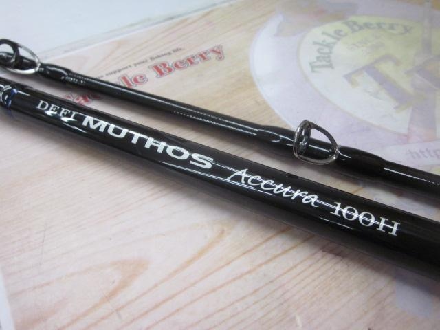 デフィーミュートス DMアキュラ 100H (RGモデル/RV)