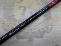 アナリスター 瀬戸内ILT 25-300