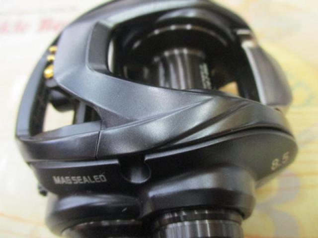 スティーズ AⅡ TW 1000XHL