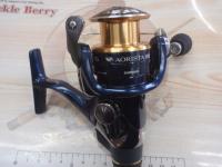 13アオリスタBB C3000HG