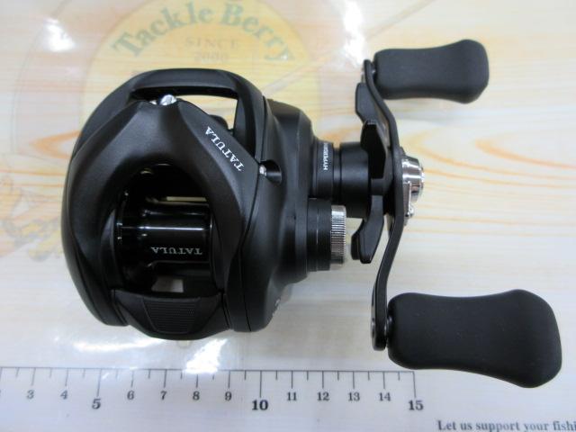 24タトゥーラ TW 100