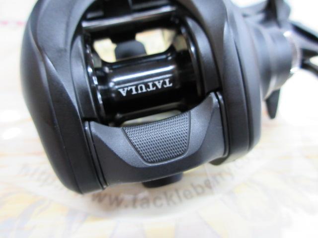 24タトゥーラ TW 100