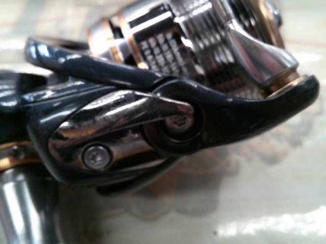 10セルテート 2506