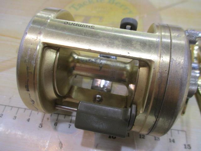 カルカッタ小船 1000