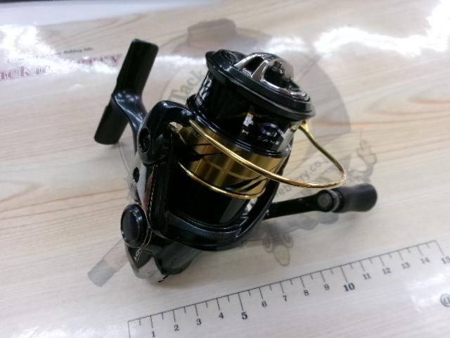 17ヴァンキッシュFWチューン 1000S