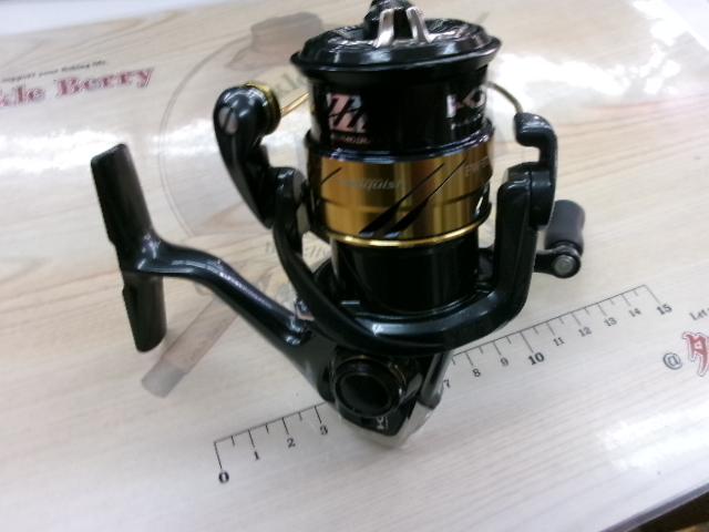 17ヴァンキッシュFWチューン 1000S