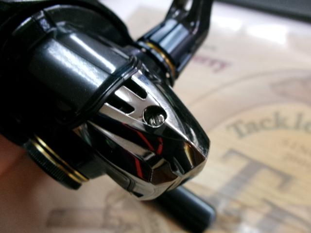 17ヴァンキッシュFWチューン 1000S