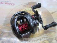 スティーズ AIR TW 500XXH