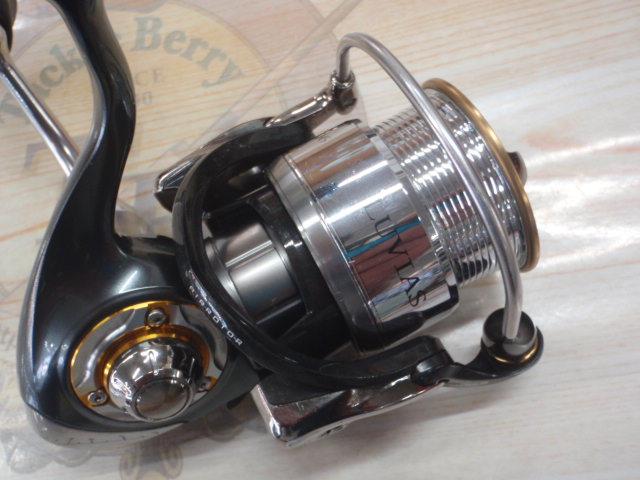 13セルテート 2506H