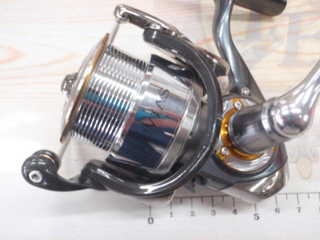 13セルテート 2506H