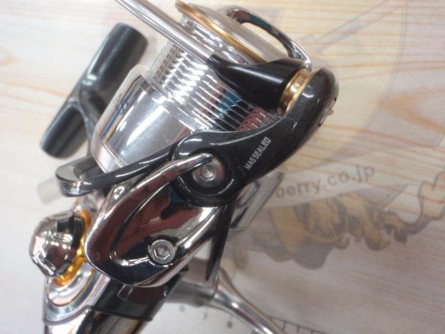 13セルテート 2506H