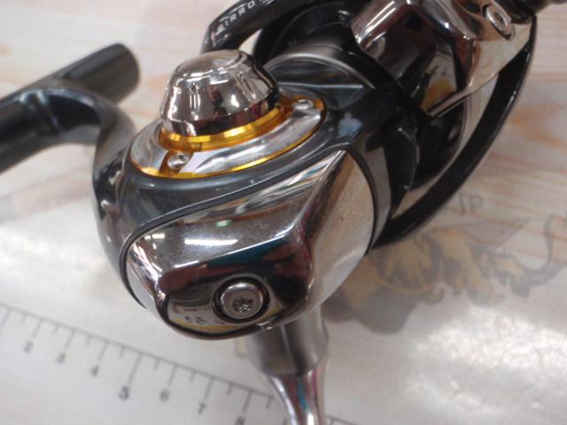 13セルテート 2506H