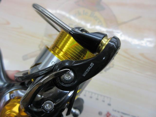 13セルテート 2004