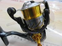 13セルテート 2004