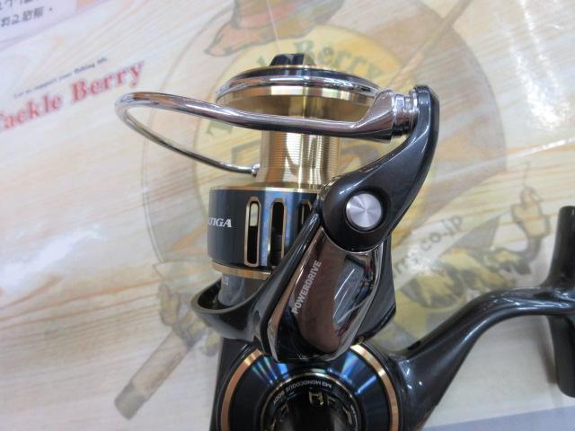 25ソルティガ 8000-P