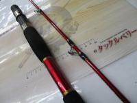 ネルビオ タイプⅡ 210