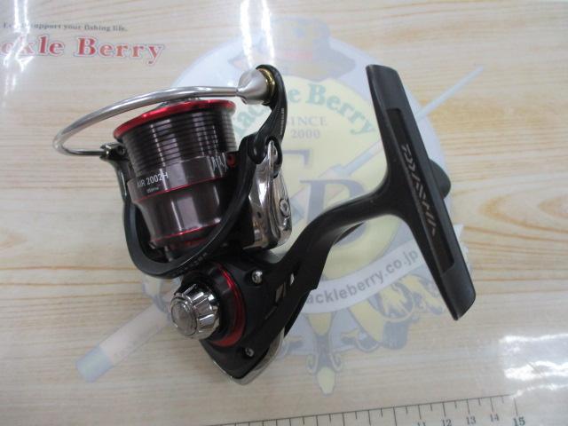 17月下美人エア 2002H