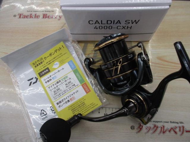 22カルディアSW 4000-CXH