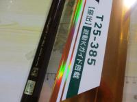 キャスティズムT 25-385・Q