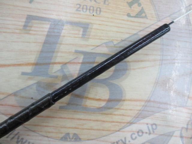 プロテックツインパワーX鮎 H2 100