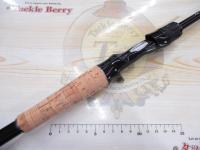 ブレイゾン C610M-2