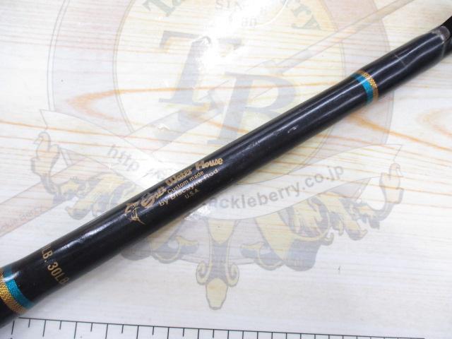 ソルトウォーターハウスロッド(ローラーガイド)