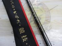 がまちぬいかだ競技Ⅱ 中硬1.4