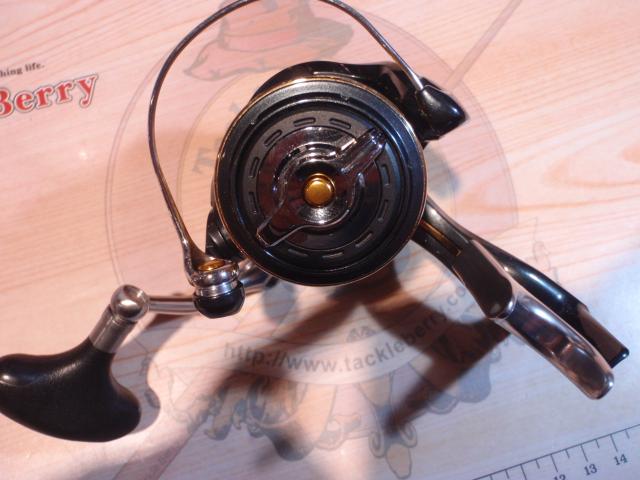 15BB-XリンカイSP 1700DXG