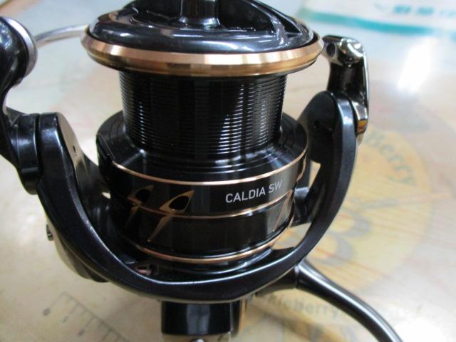 22カルディアSW 4000-CXH