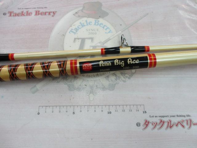 ビッグエース 250M