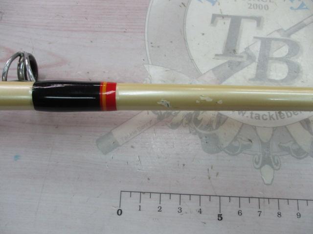 ビッグエース 250M