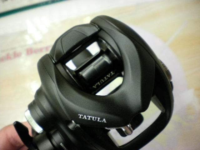 24タトゥーラ TW 100