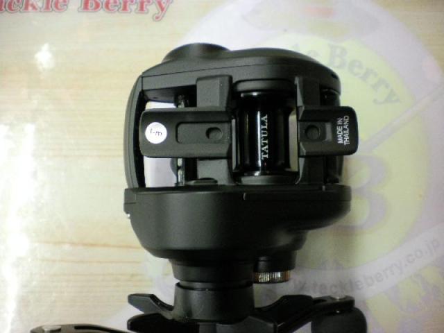 24タトゥーラ TW 100