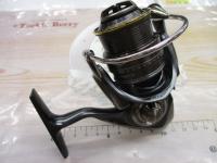 スティーズ タイプⅠ