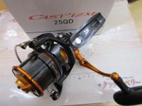 19キャスティズム 25 QD