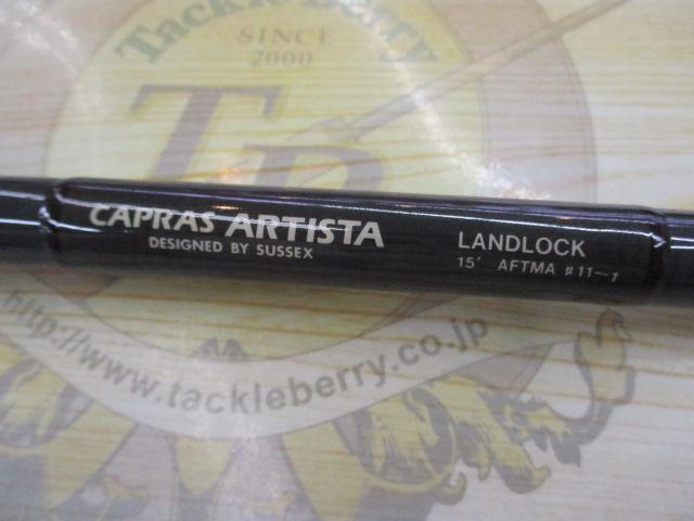 カプラスアルティスタ 15ft #11/12