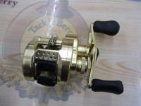 21カルカッタコンクエスト 100