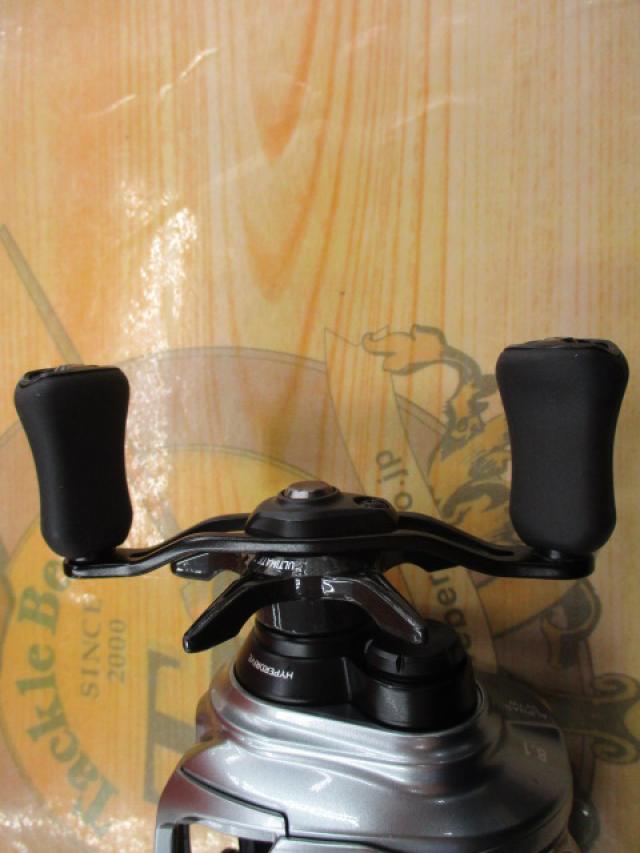 21アルファス SV TW 800XH