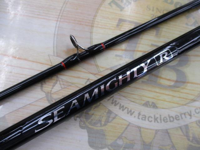 シーマイティR73 80-240