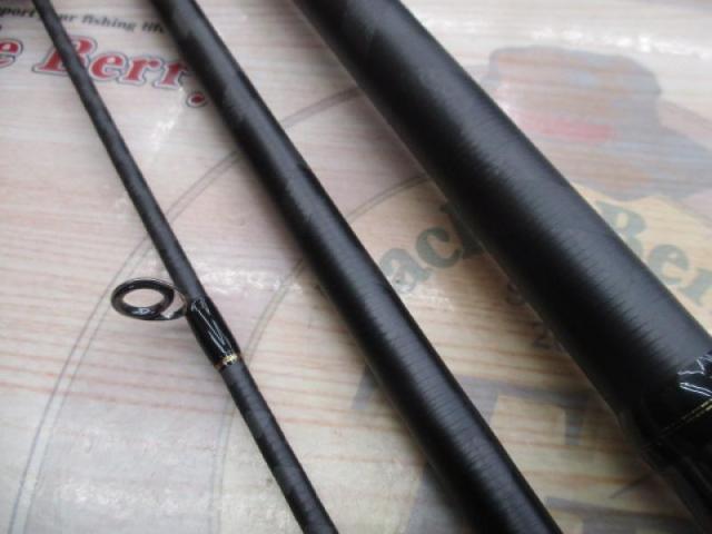 25ネッサエクスチューン S100M