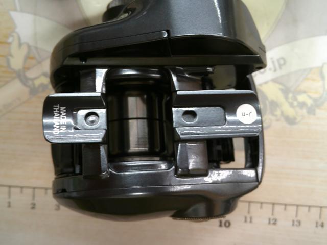 25タトゥーラ SV TW 100H